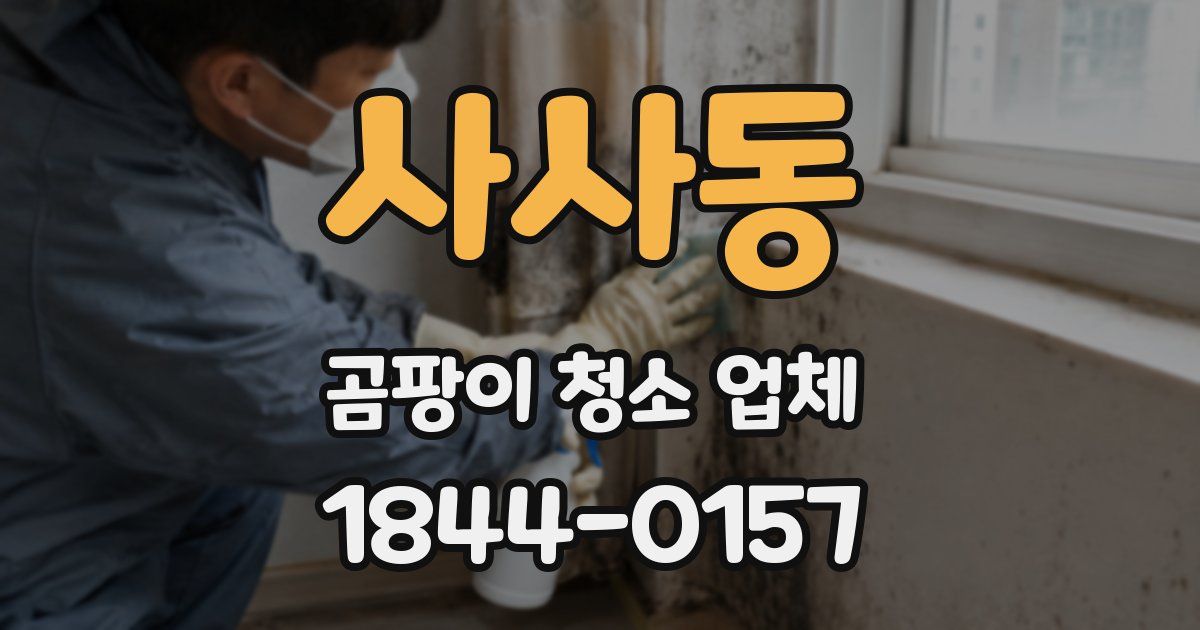 사사동 곰팡이 청소 업체