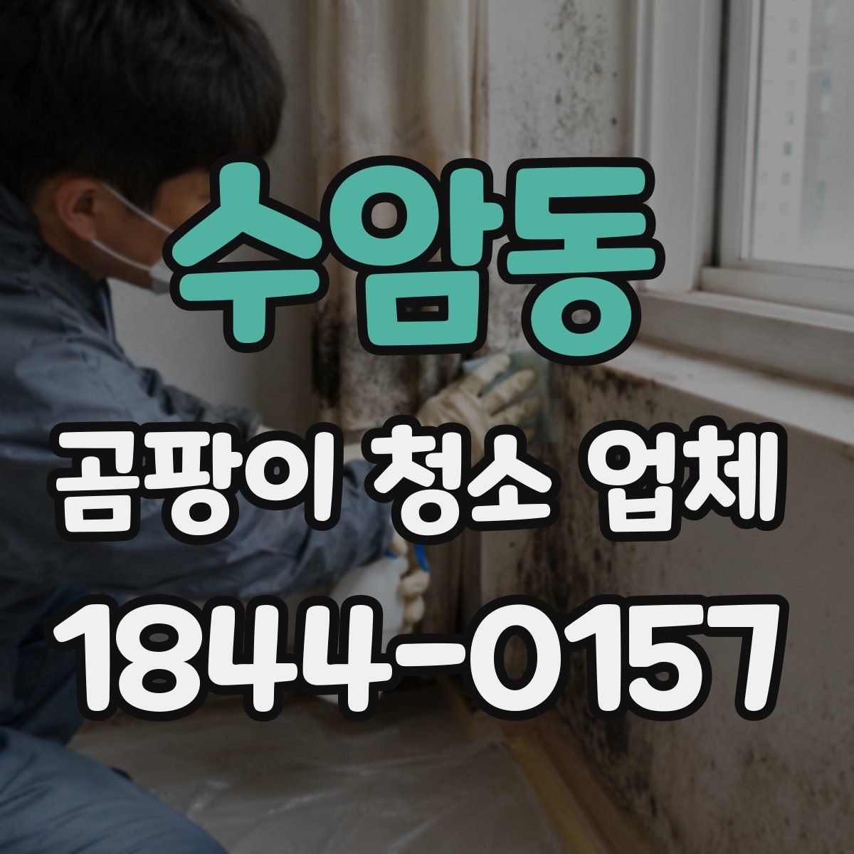 수암동 곰팡이 청소 업체