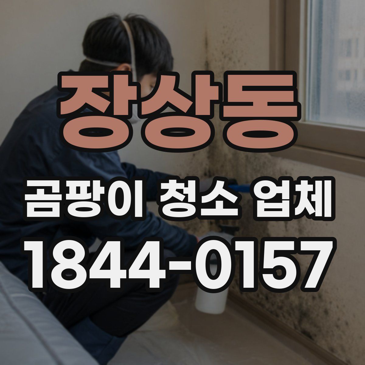 장상동 곰팡이 청소 업체