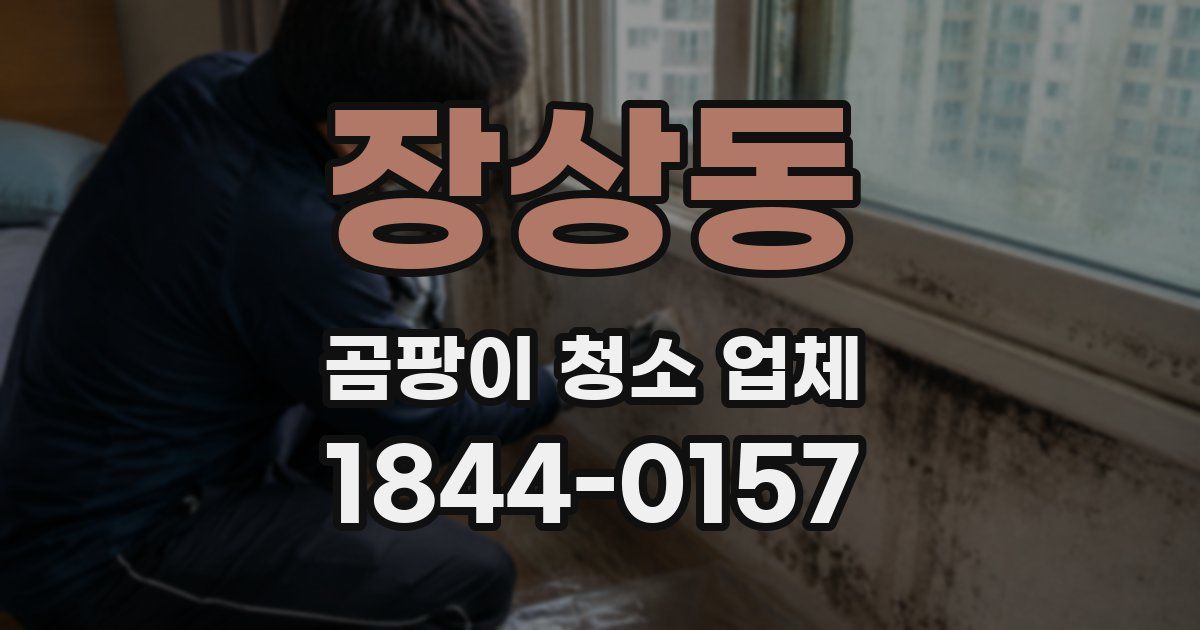 장상동 곰팡이 청소 업체