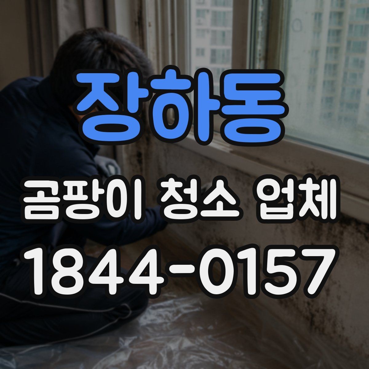 장하동 곰팡이 청소 업체 곰팡이 제거 뒤 복구가 필요한 상황