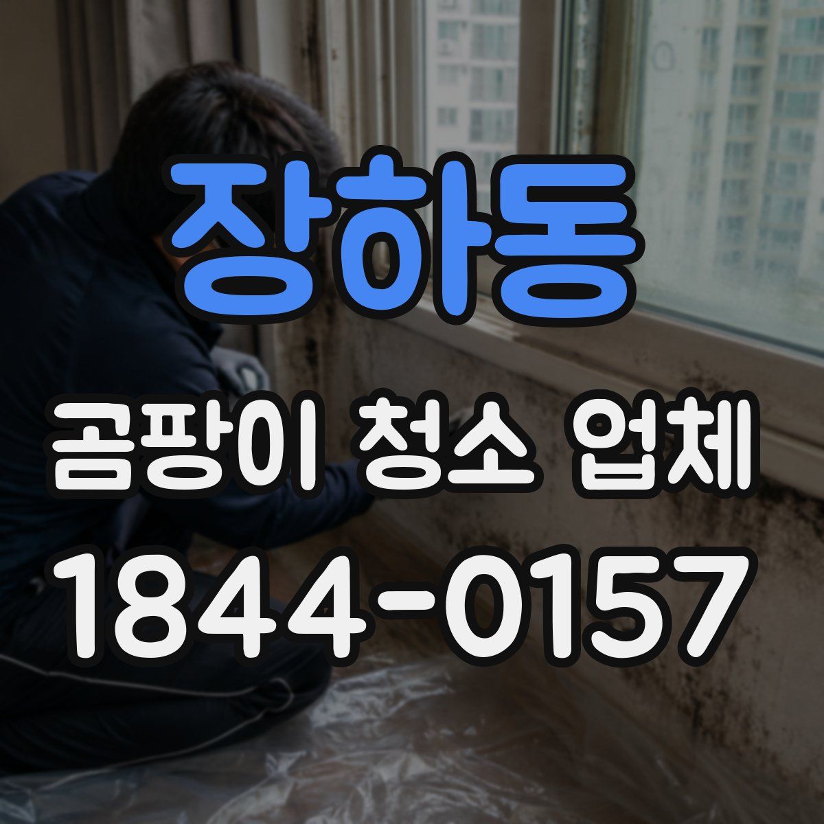 장하동 곰팡이 청소 업체