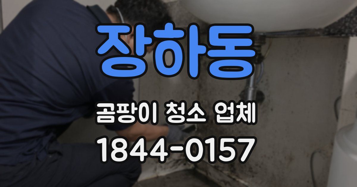 장하동 곰팡이 청소 업체