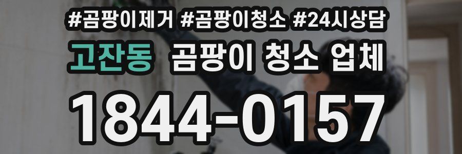 고잔동 곰팡이 청소 업체