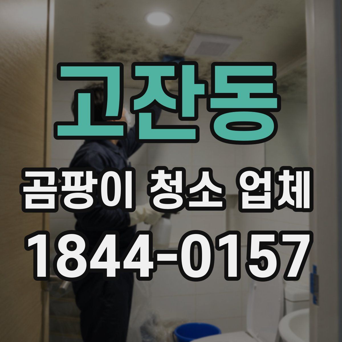 고잔동 곰팡이 청소 업체