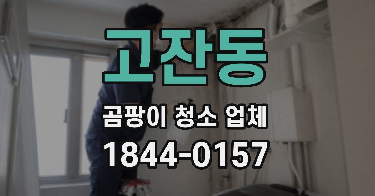 고잔동 곰팡이 청소 업체