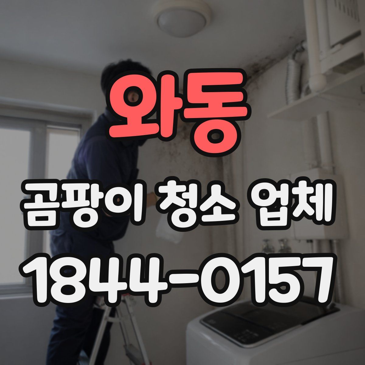 와동 곰팡이 청소 업체