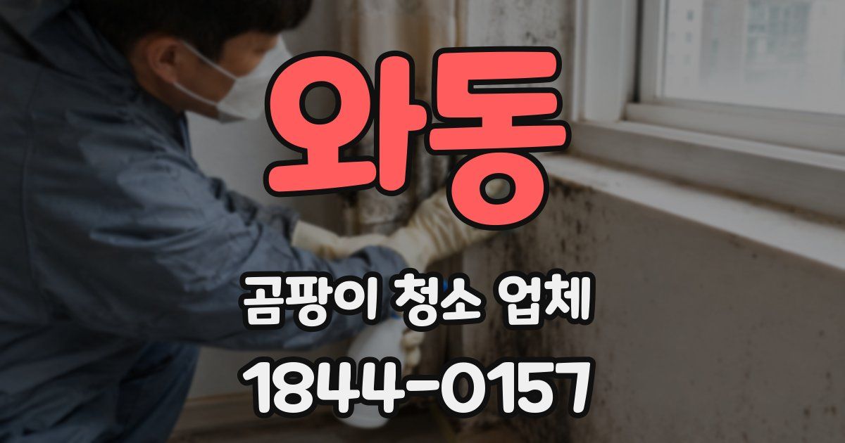 와동 곰팡이 청소 업체