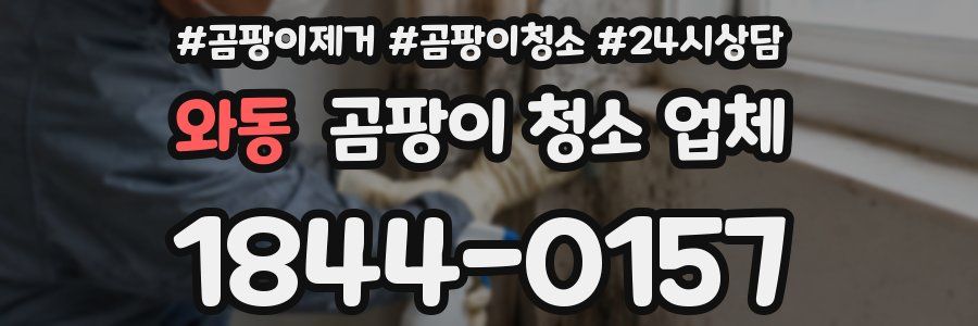 와동 곰팡이 청소 업체
