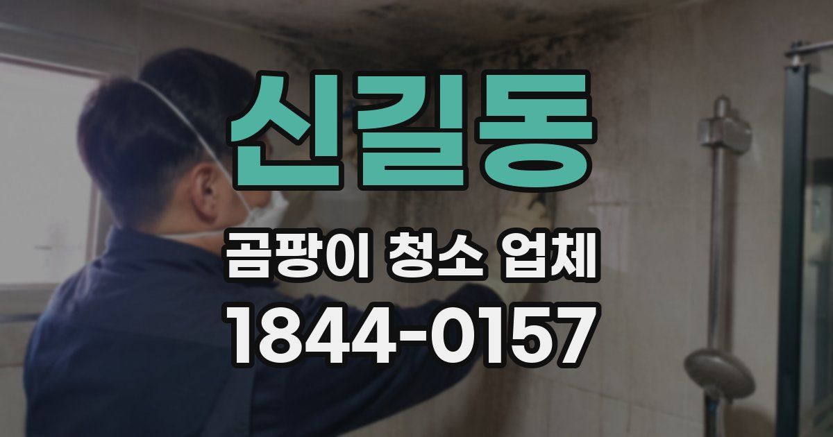 신길동 곰팡이 청소 업체