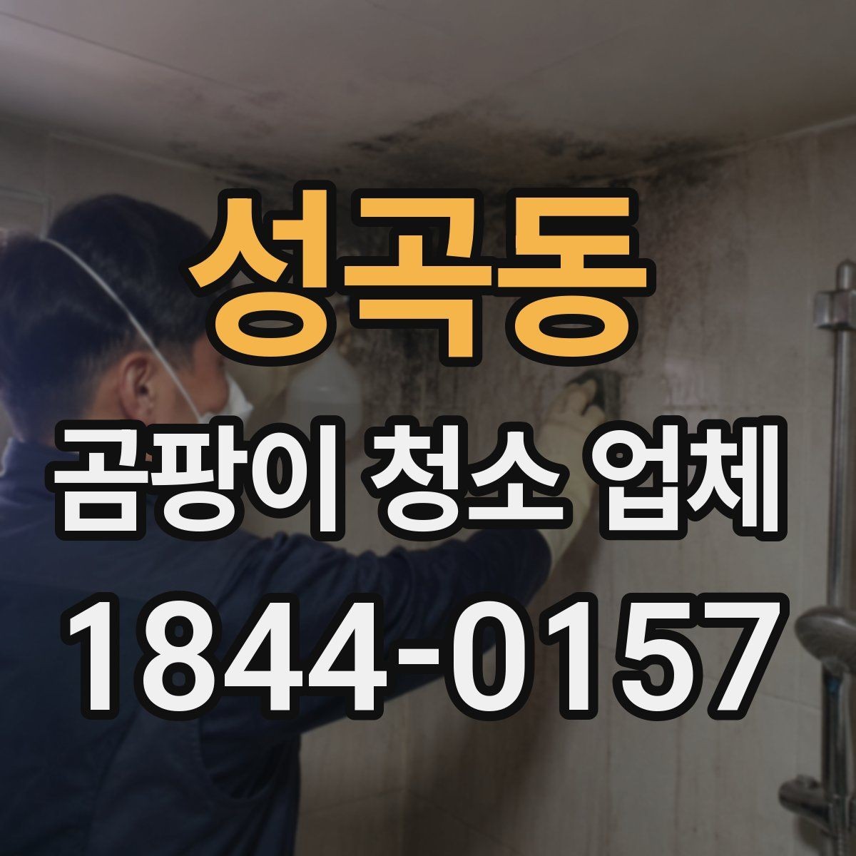 성곡동 곰팡이 청소 업체 벽지와 욕실 곰팡이 제거 범위
