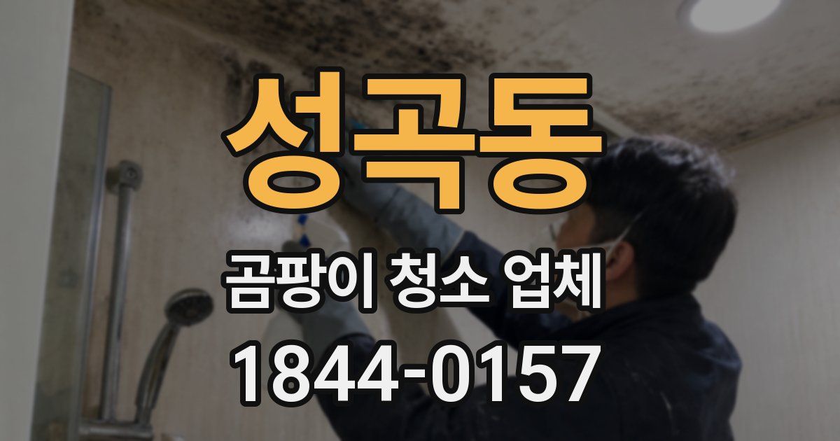 성곡동 곰팡이 청소 업체