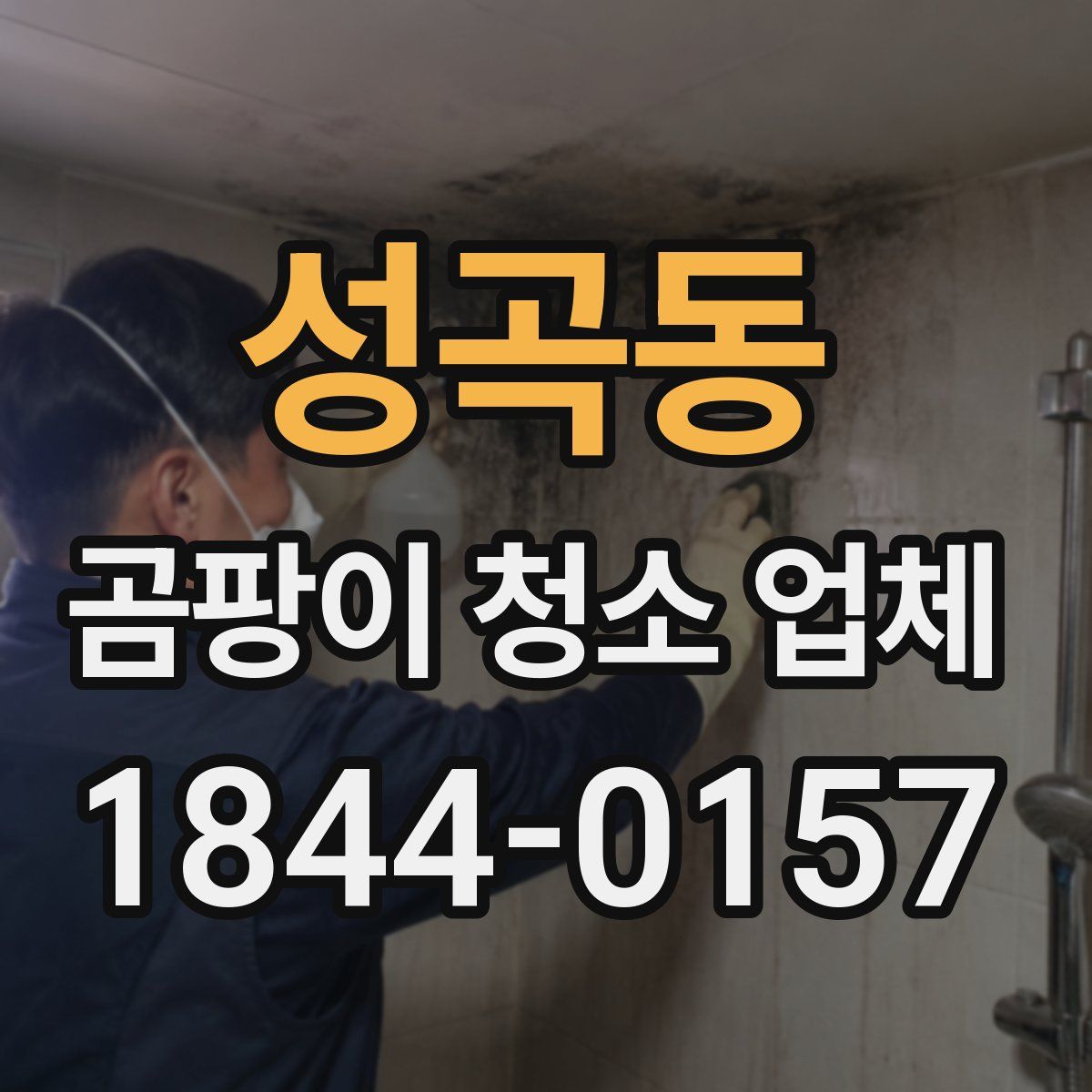 성곡동 곰팡이 청소 업체
