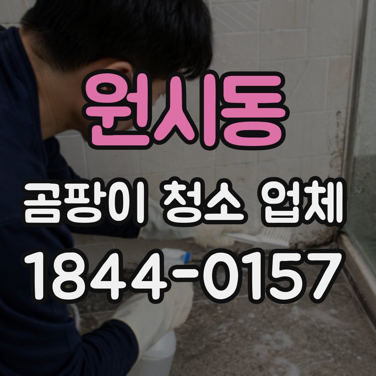 원시동 곰팡이 청소 업체