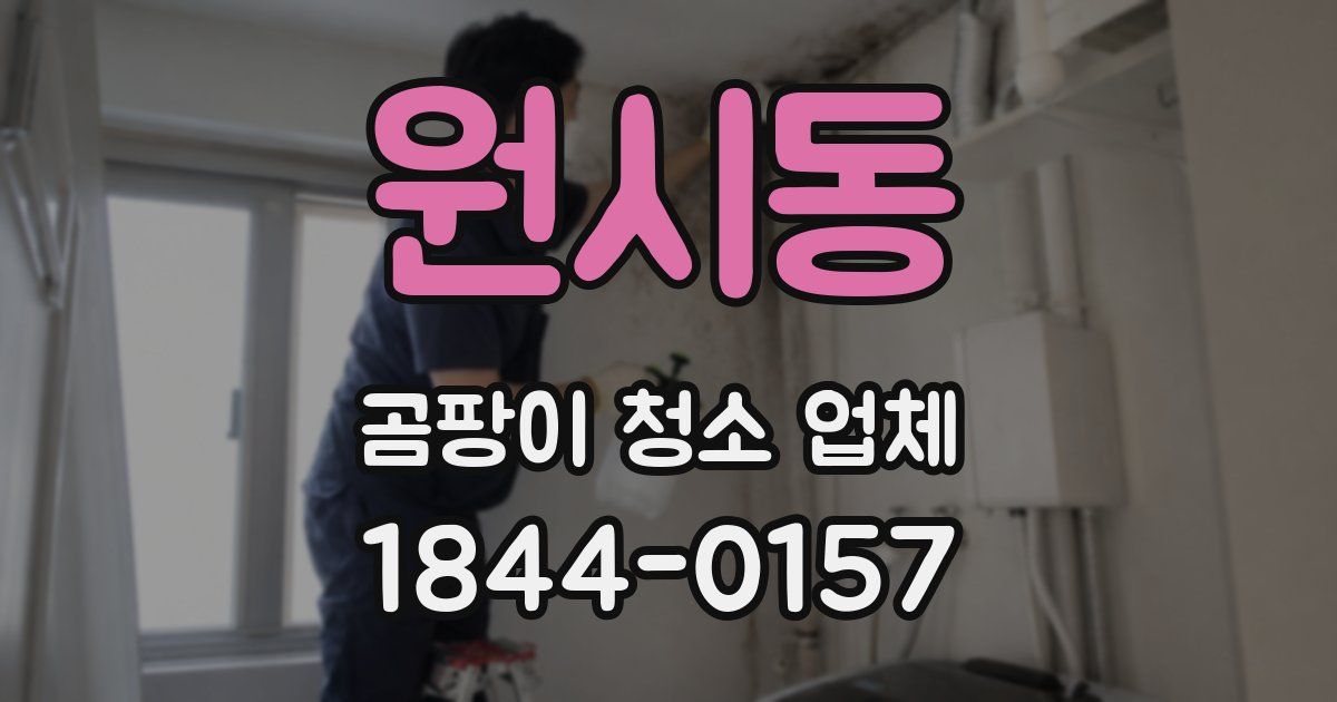 원시동 곰팡이 청소 업체