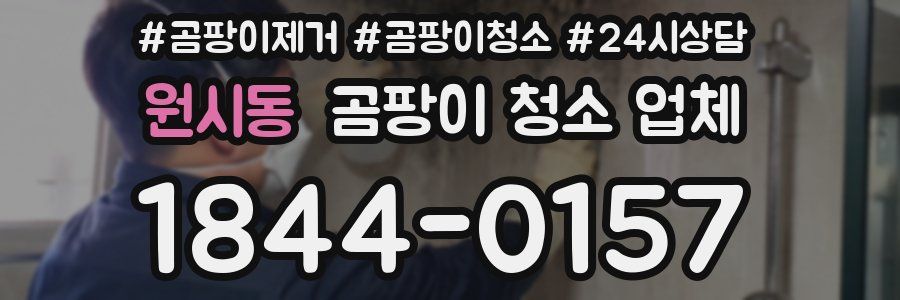 원시동 곰팡이 청소 업체