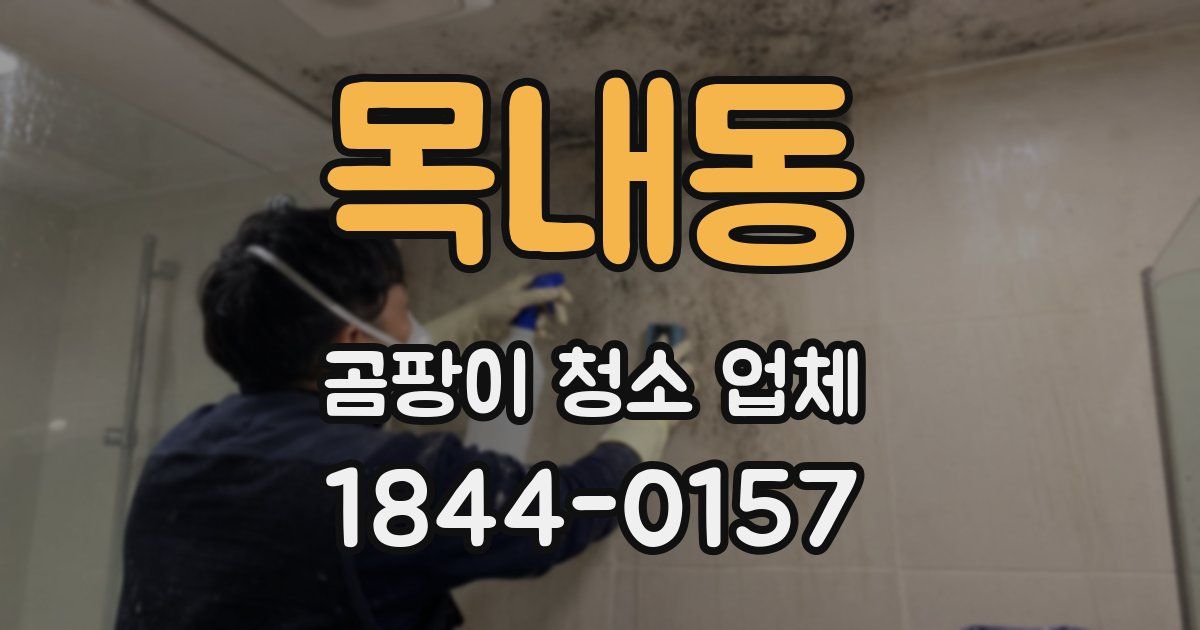 목내동 곰팡이 청소 업체