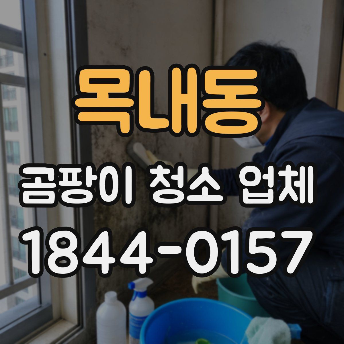 목내동 곰팡이 청소 업체