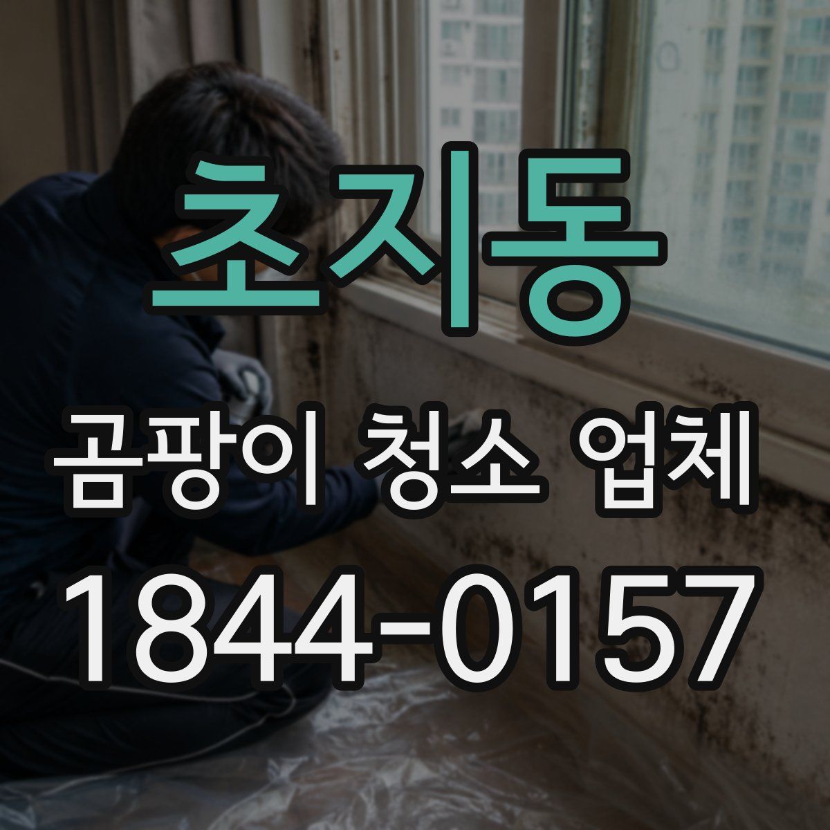 초지동 곰팡이 청소 업체