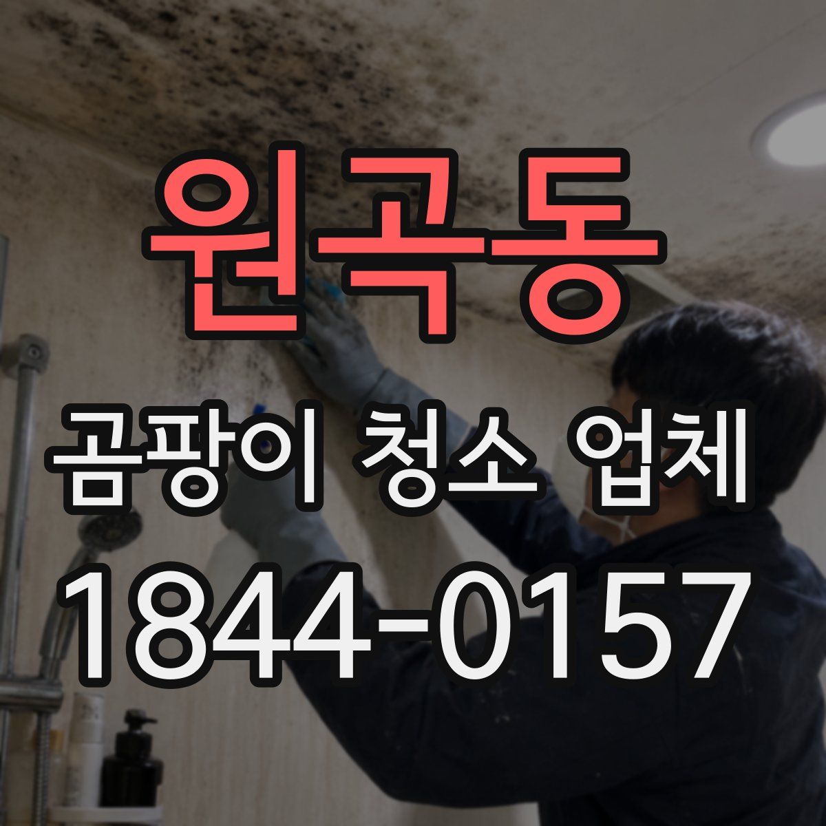 원곡동 곰팡이 청소 업체