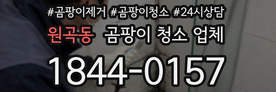 원곡동 곰팡이 청소 업체