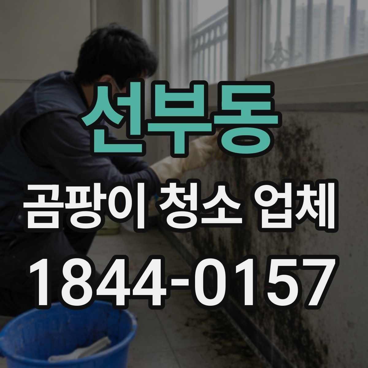 선부동 곰팡이 청소 업체 장비로 가능한 범위와 한계