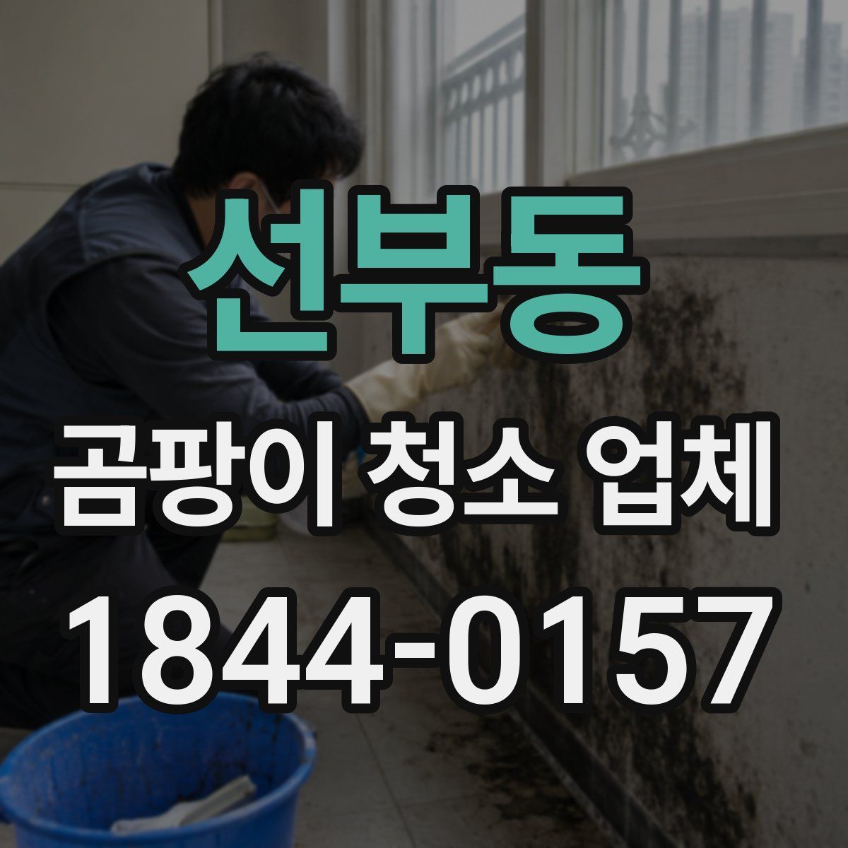 선부동 곰팡이 청소 업체