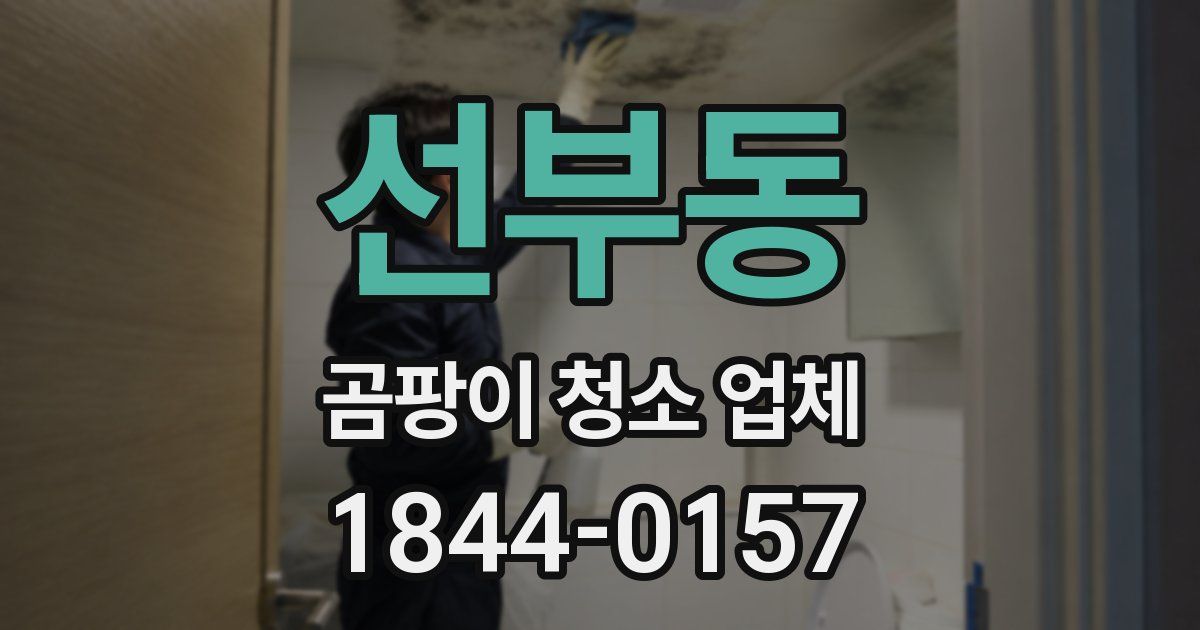 선부동 곰팡이 청소 업체