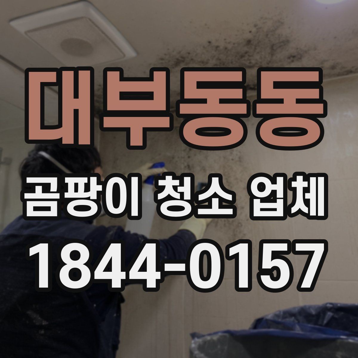 대부동동 곰팡이 청소 업체 공간별로 달라지는 맞춤 청소 방식