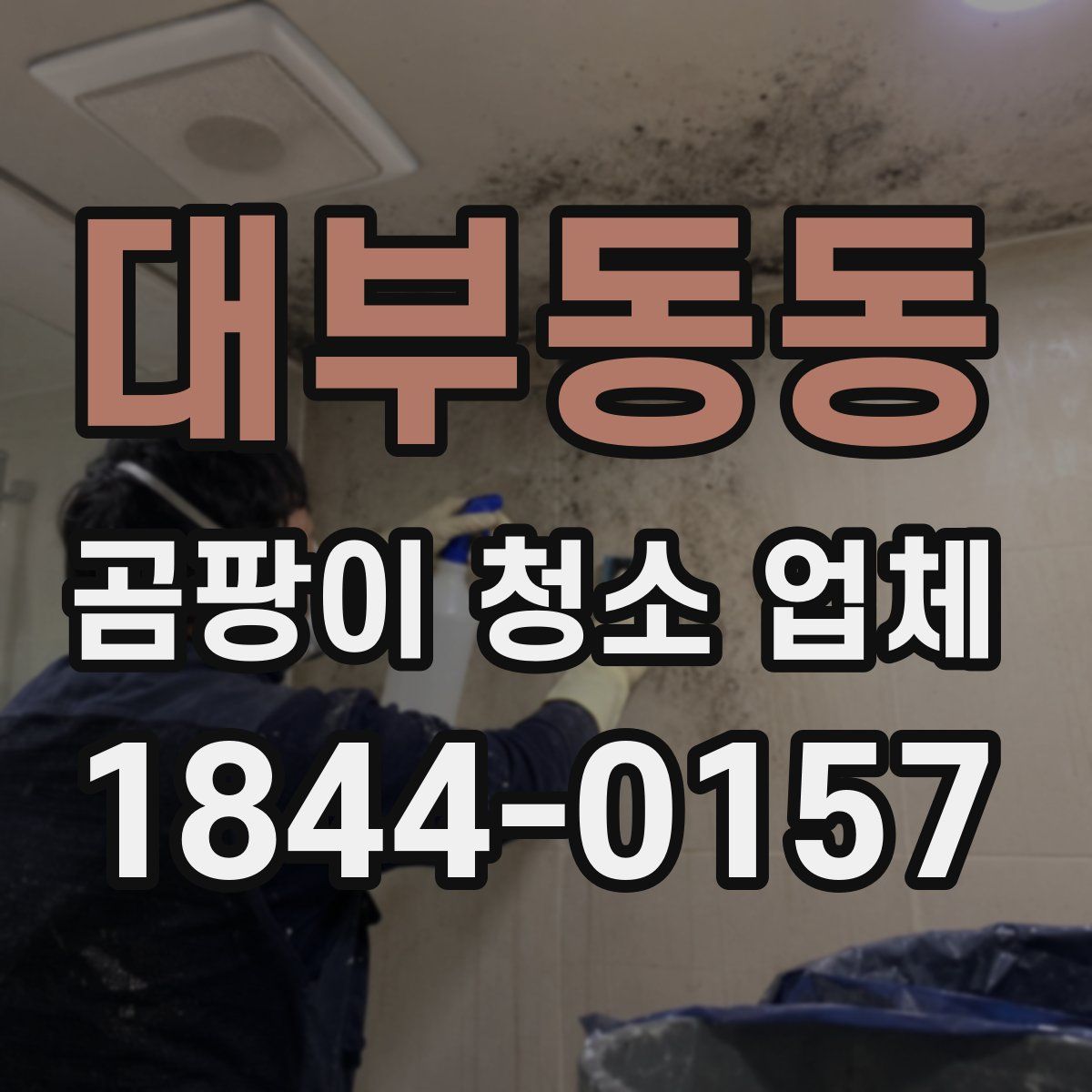 대부동동 곰팡이 청소 업체