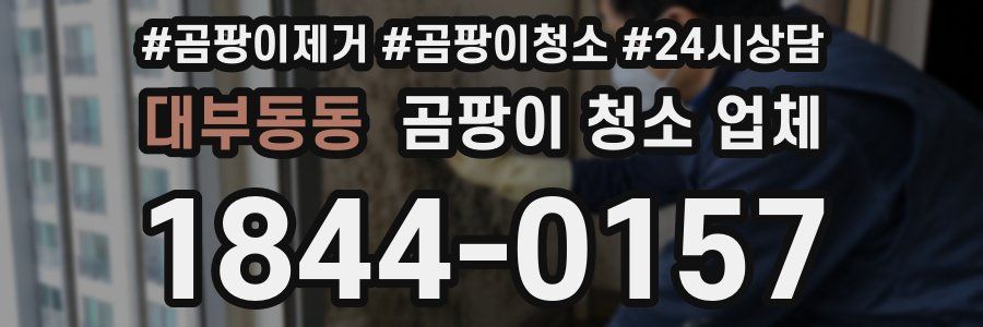 대부동동 곰팡이 청소 업체
