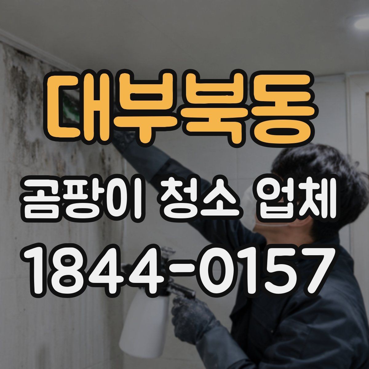 대부북동 곰팡이 청소 업체 계약 전 책임 범위 확인이 중요한 이유