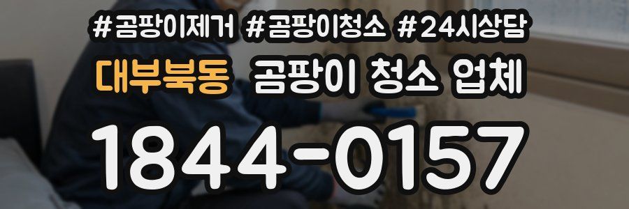 대부북동 곰팡이 청소 업체