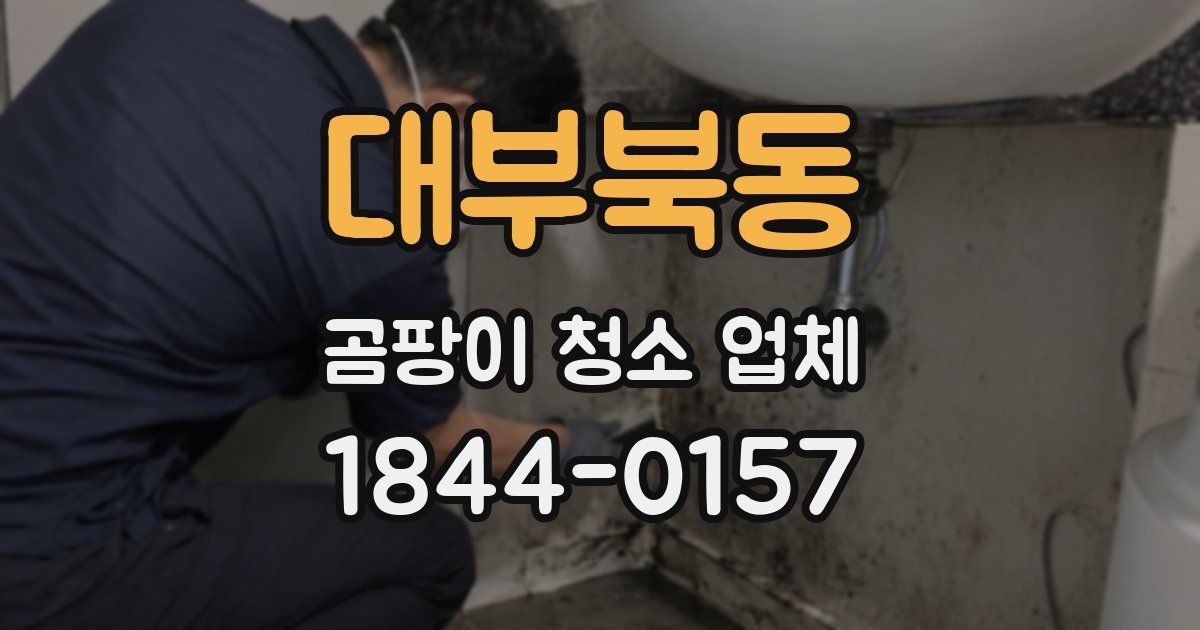 대부북동 곰팡이 청소 업체