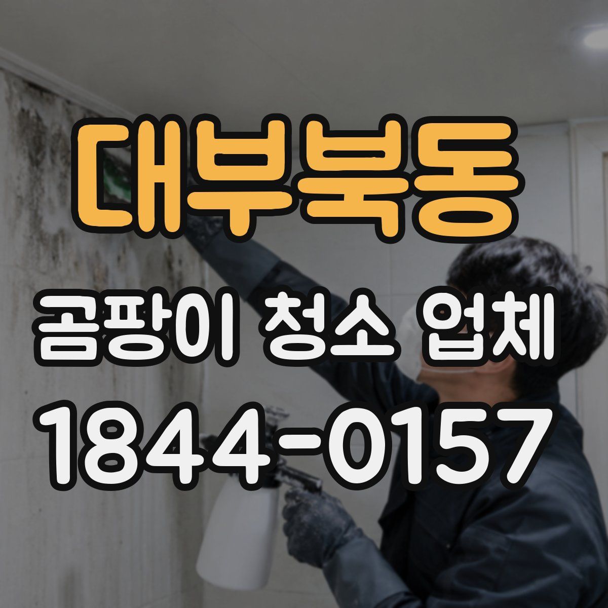 대부북동 곰팡이 청소 업체