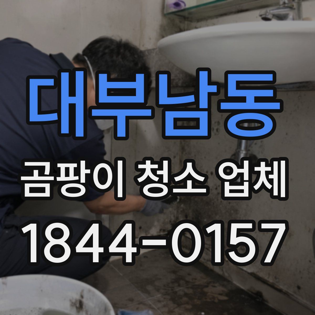 대부남동 곰팡이 청소 업체