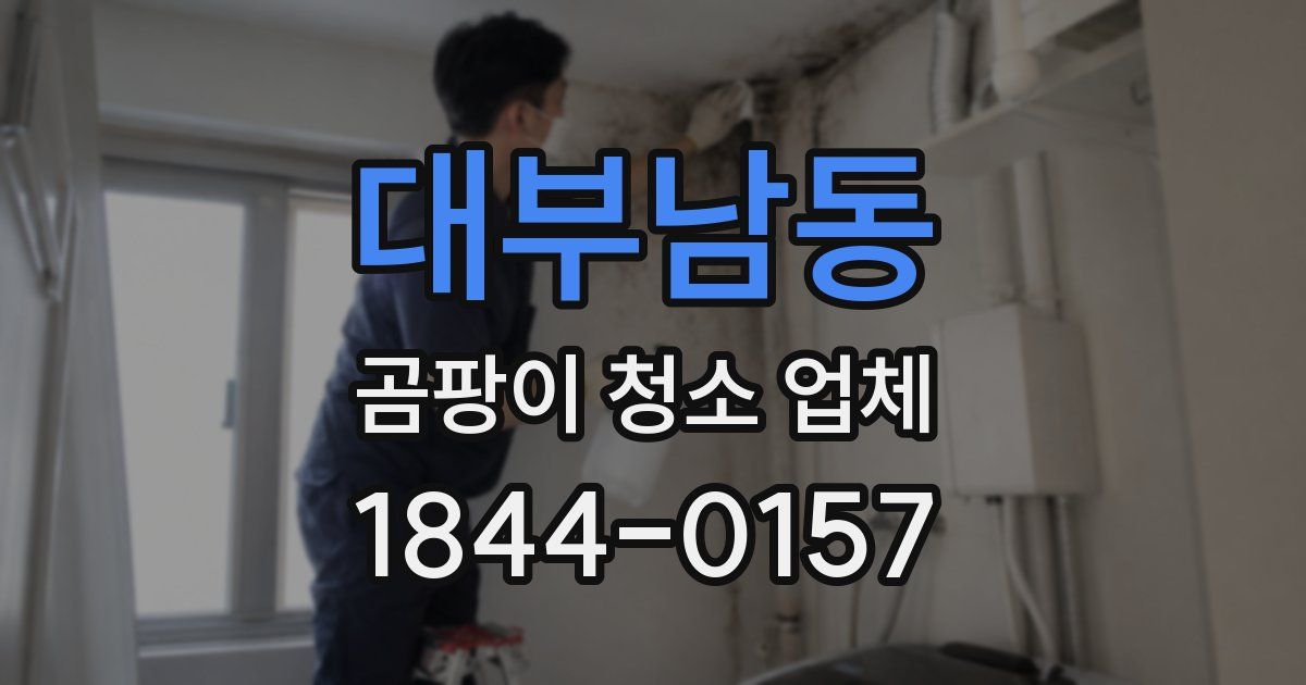 대부남동 곰팡이 청소 업체