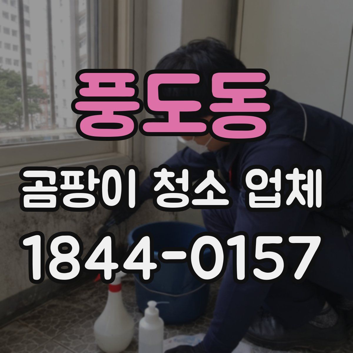 풍도동 곰팡이 청소 업체