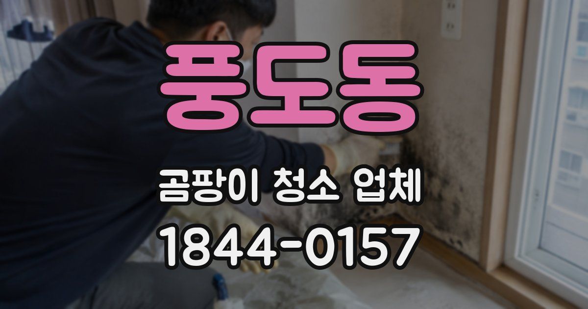 풍도동 곰팡이 청소 업체