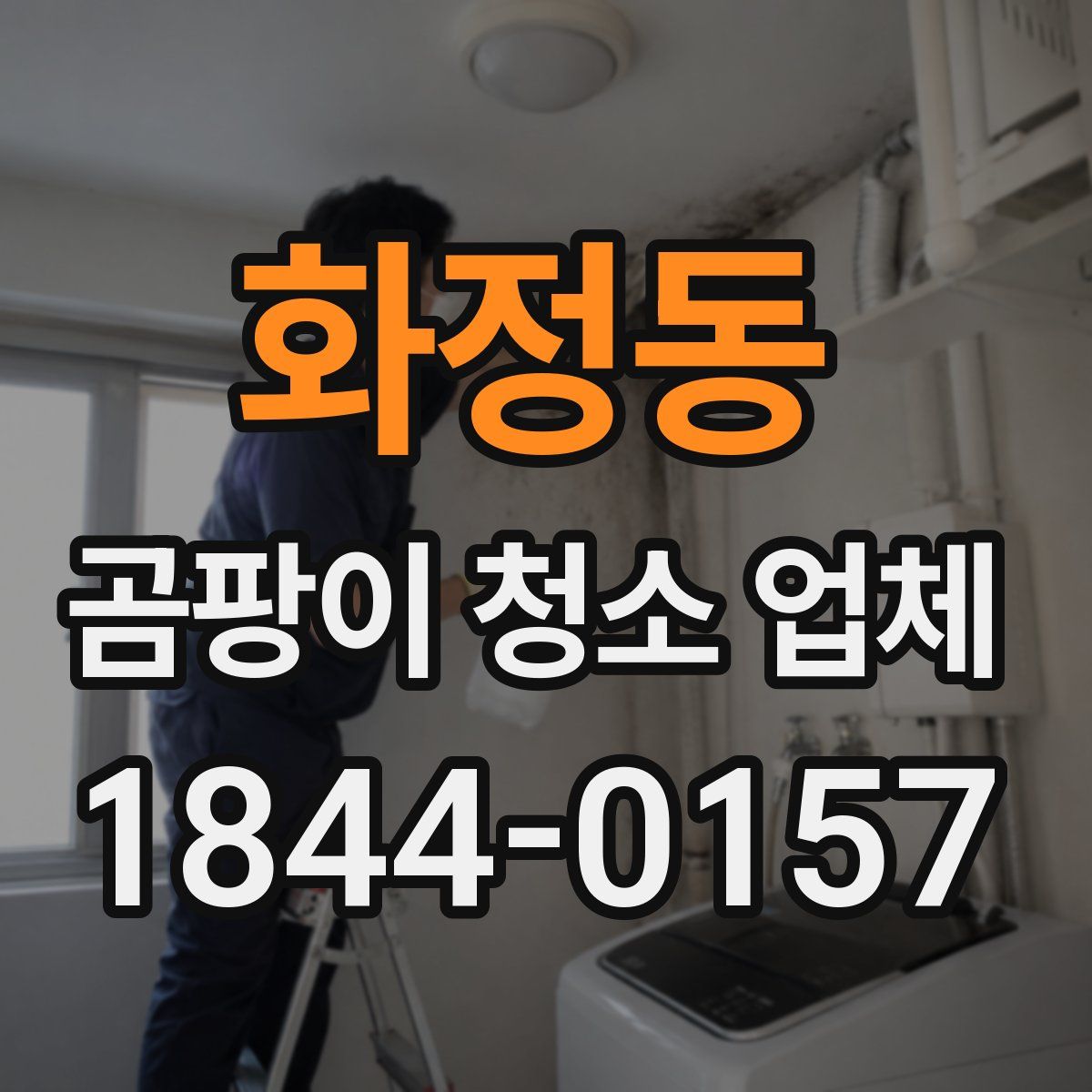 화정동 곰팡이 청소 업체