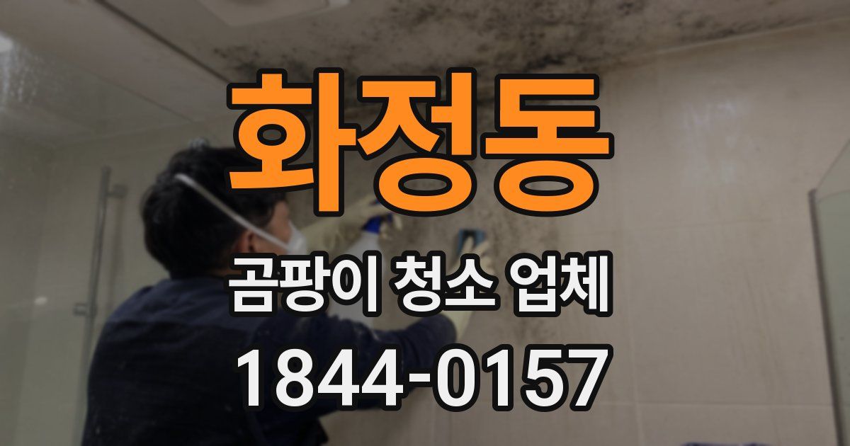 화정동 곰팡이 청소 업체