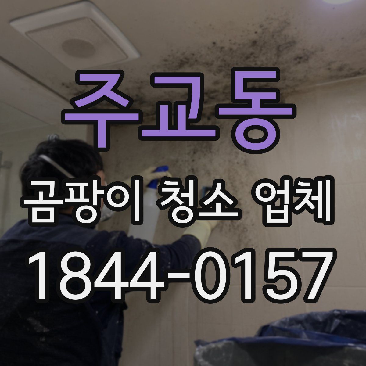 주교동 곰팡이 청소 업체