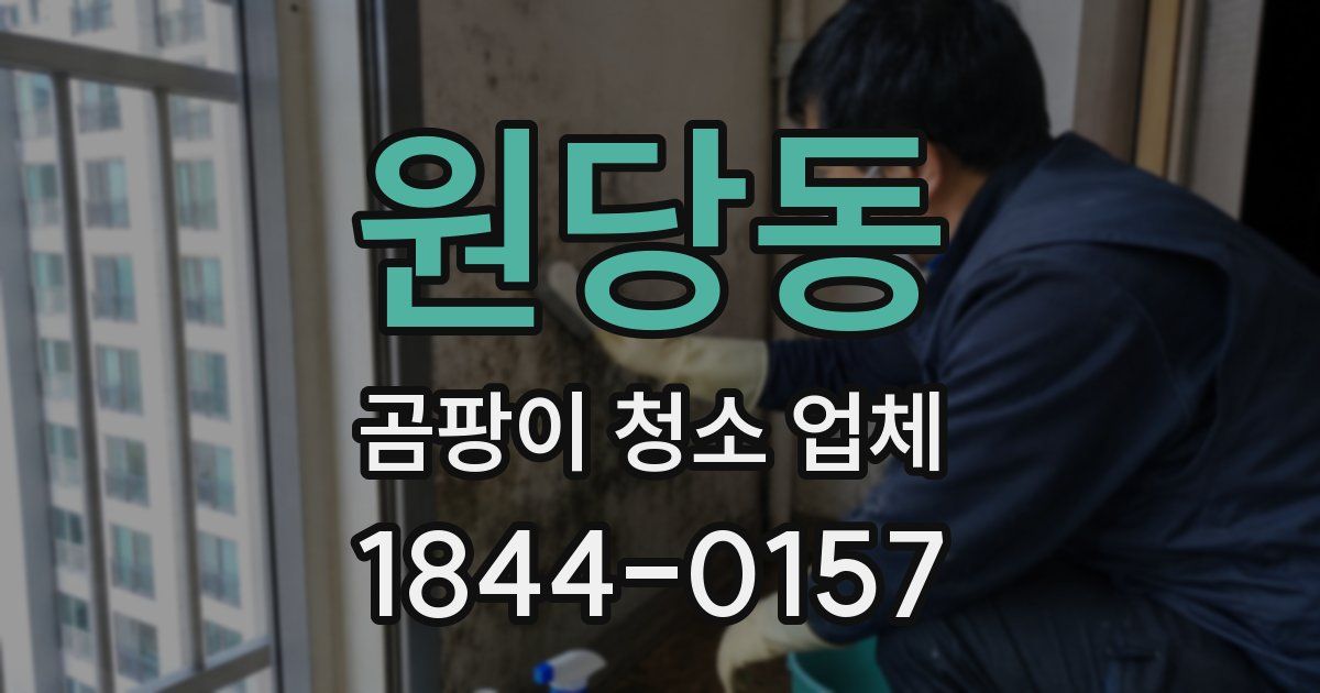 원당동 곰팡이 청소 업체