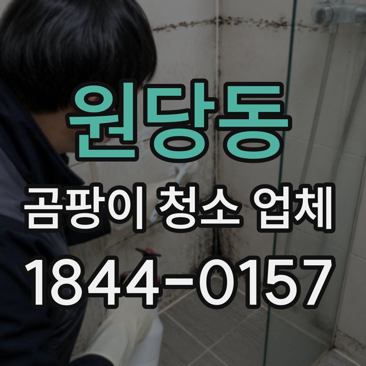 원당동 곰팡이 청소 업체