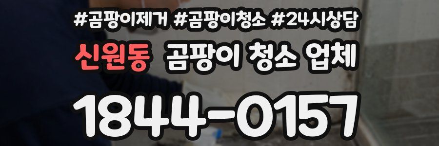 신원동 곰팡이 청소 업체