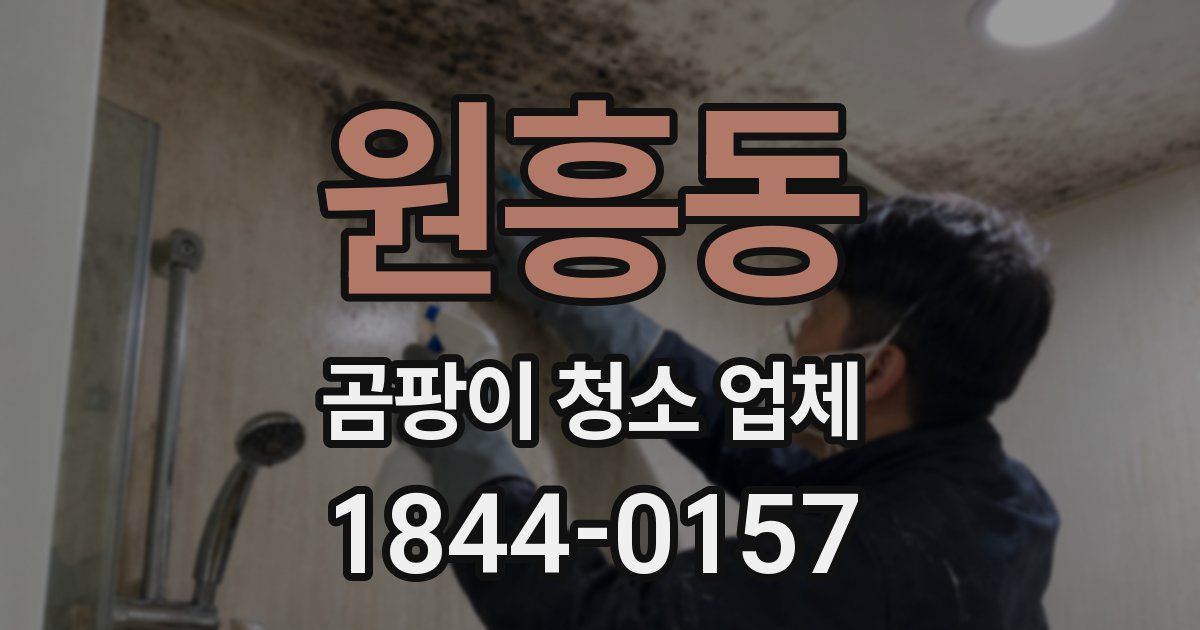 원흥동 곰팡이 청소 업체