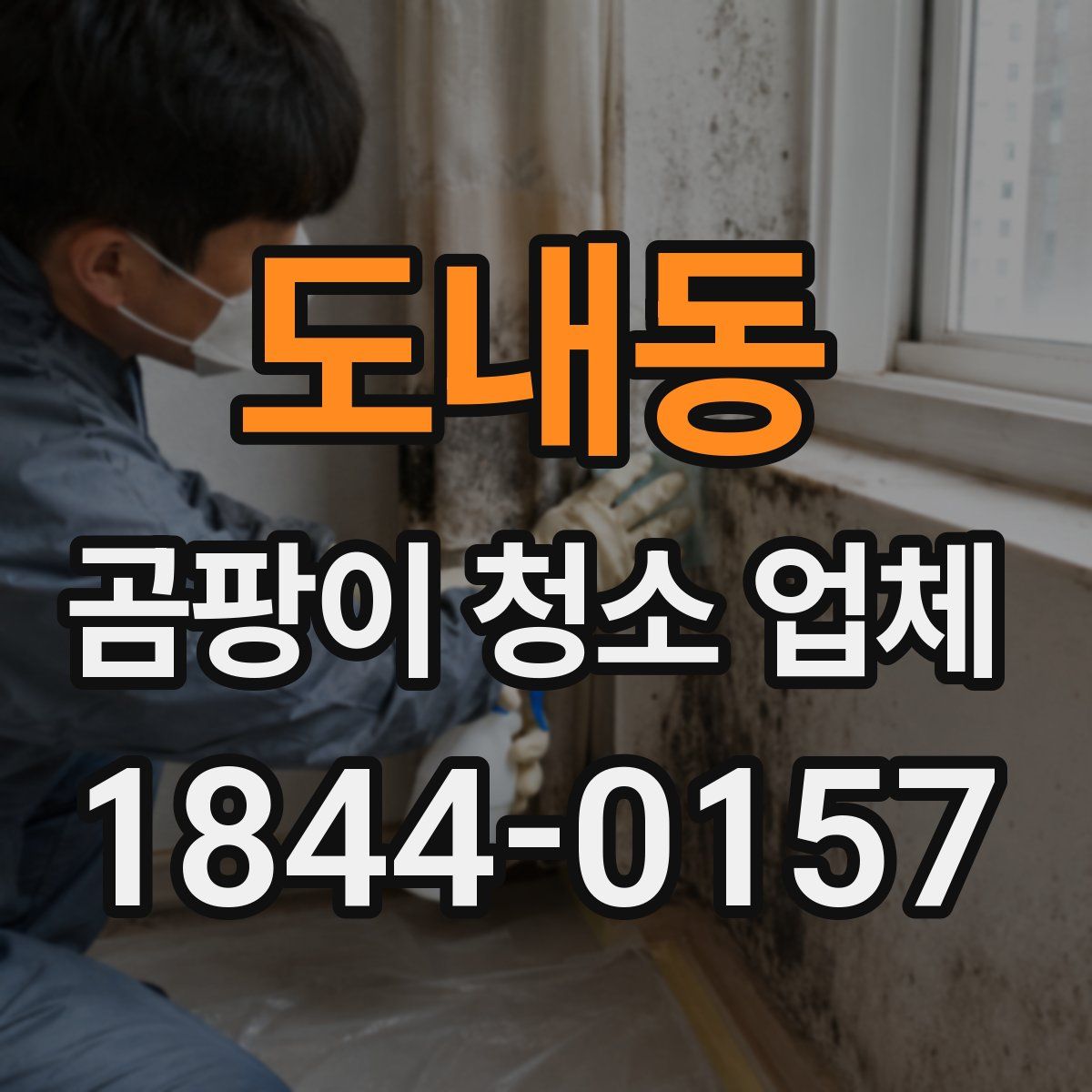 도내동 곰팡이 청소 업체