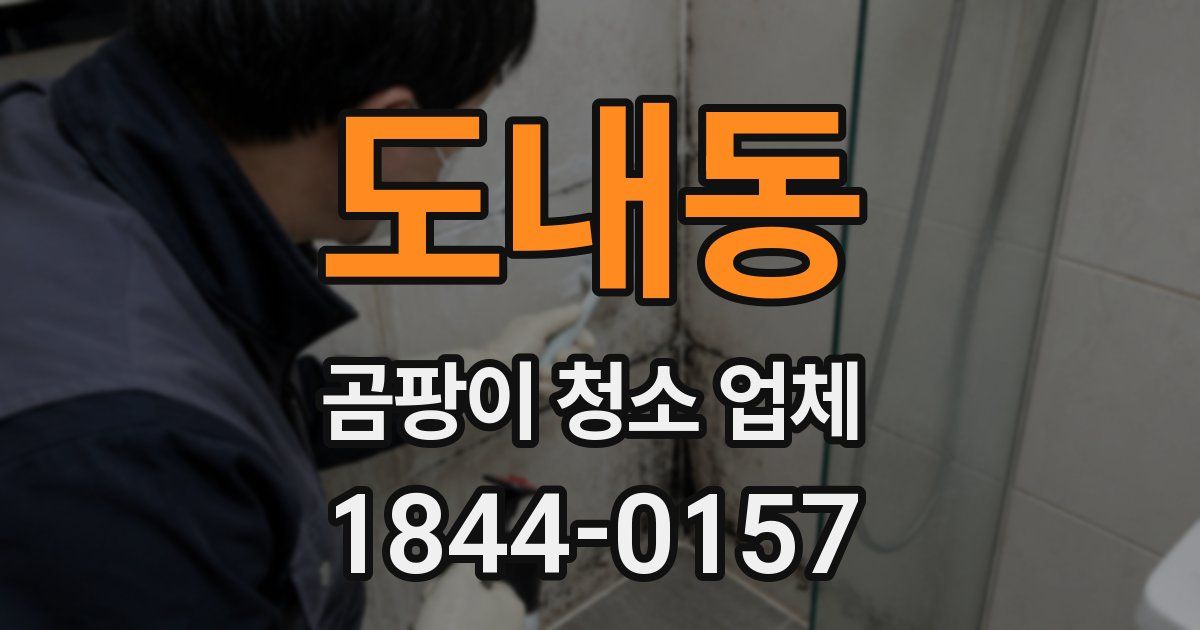 도내동 곰팡이 청소 업체