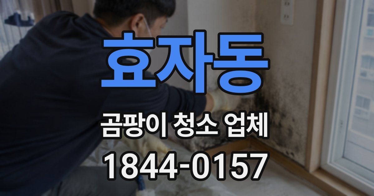 효자동 곰팡이 청소 업체