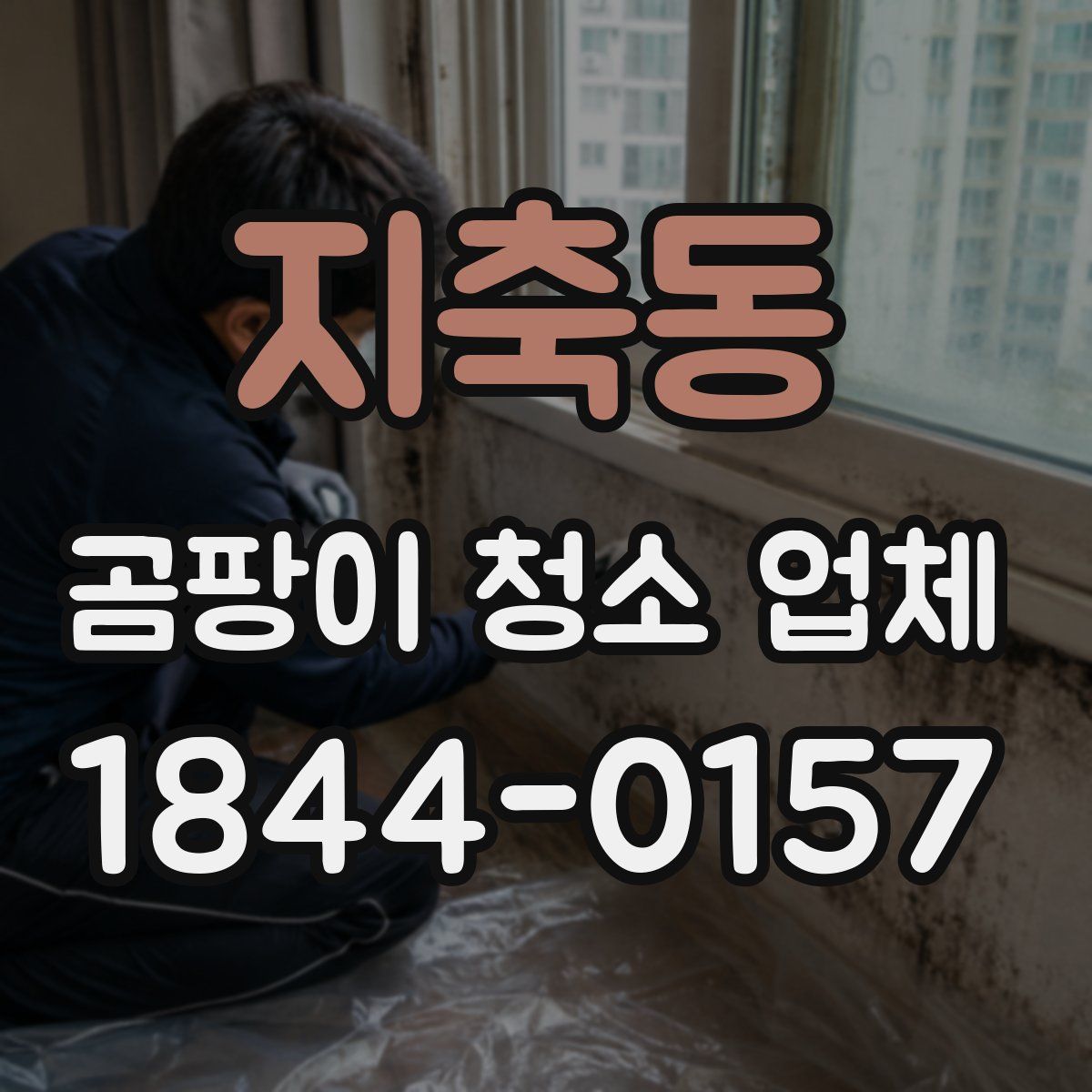 지축동 곰팡이 청소 업체